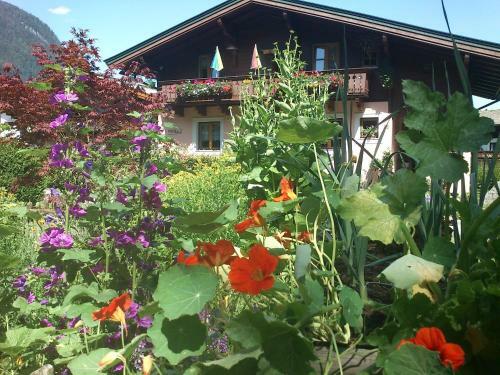 Apartamento Ferienwohnung Waldh�usl
