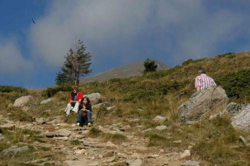 Hostal Gasthof Trattner Pension Waldhof