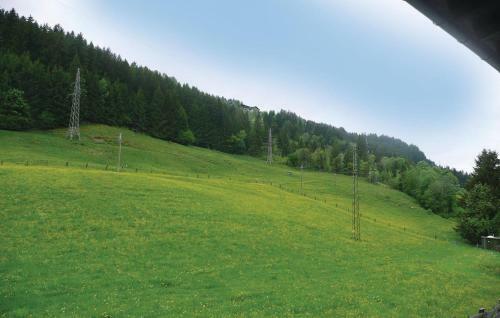 Apartment Hof Wagrain VI