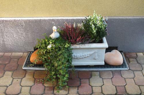 Aparthotel Strandschl�ssl Appartements