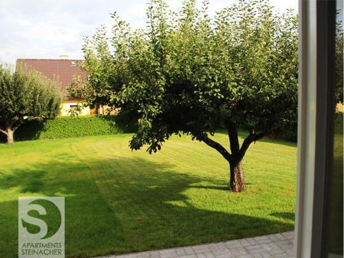 Apartments Steinacher