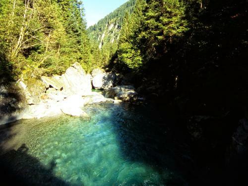 Apartamento Appartements Alpenrose