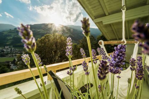 Mountain And Soul Lifestyle Hotel