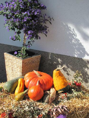 Apartamento Ferienwohnungen Lechthaler