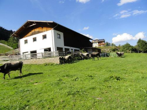 Agroturismo Haus Hochzeigerblick
