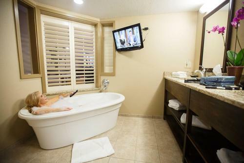 Hotel Greystone Lodge On The River