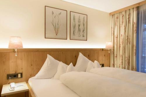 Hotel Montafoner Hof