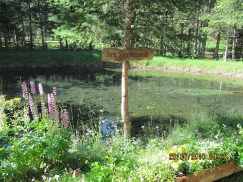 Hostal Pension Waldhauser