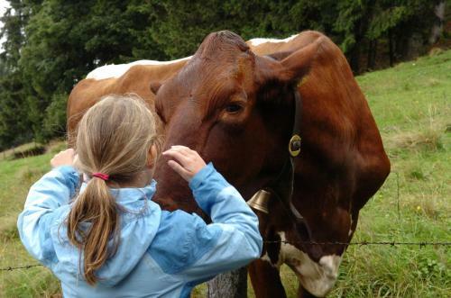 Agroturismo Pension Schmiderer - Vorderkasbichlhof