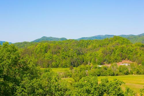 Misty Mountain Hideaway, 3 Bedrooms, Sleeps 10, Pool Access, Wifi