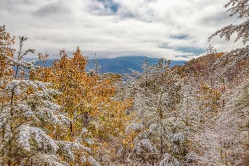Smoky Mountain Dreamin Cabin