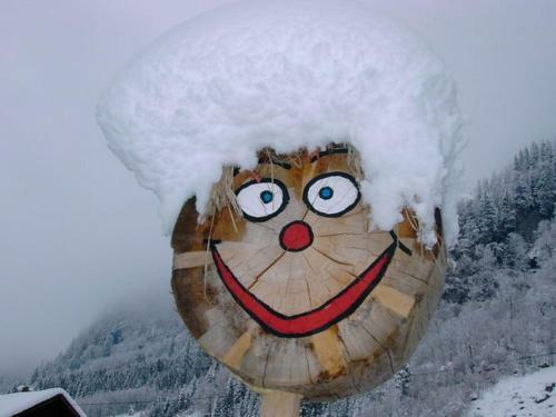 Alpen Fusch Am Grossglockner