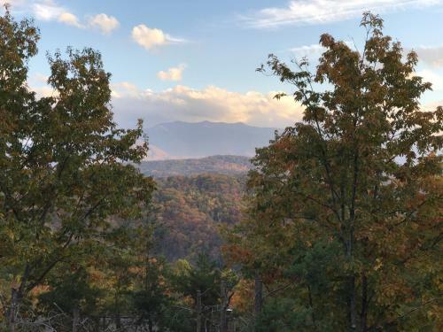 Grandpa Bear's View #233 By Aunt Bug's Cabin Rentals