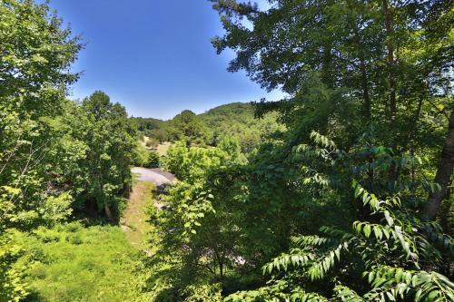 Belle Of The Valley