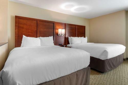 Hotel Comfort Inn & Suites