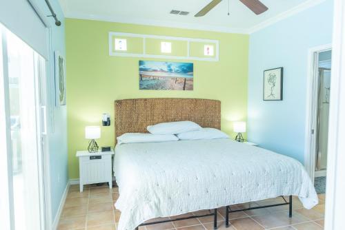 Lajuana Iguana Home