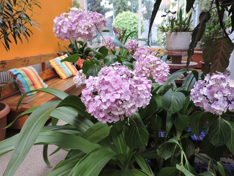 Bed & Breakfast Natales