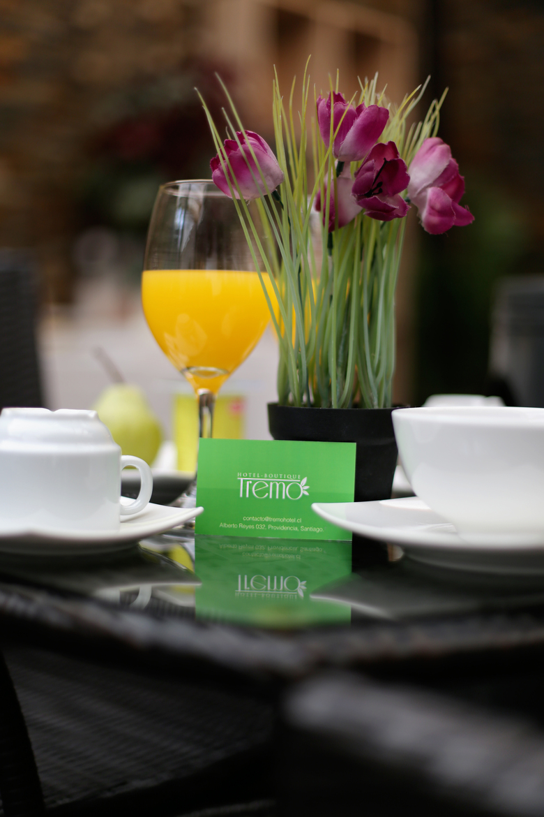 Hotel Boutique Tremo
