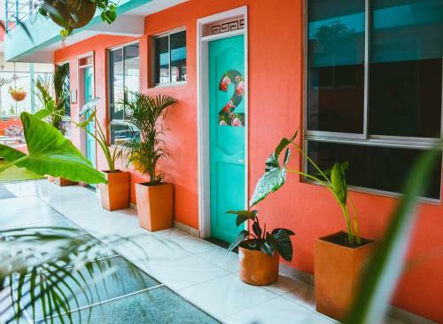 Hostal Flamingo Hostel & Coworking