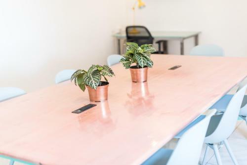 Hostal Flamingo Hostel & Coworking