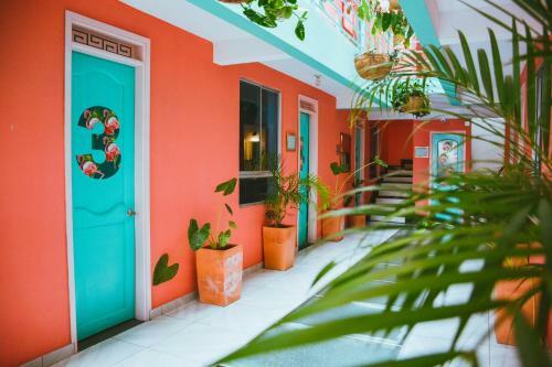 Hostal Flamingo Hostel & Coworking