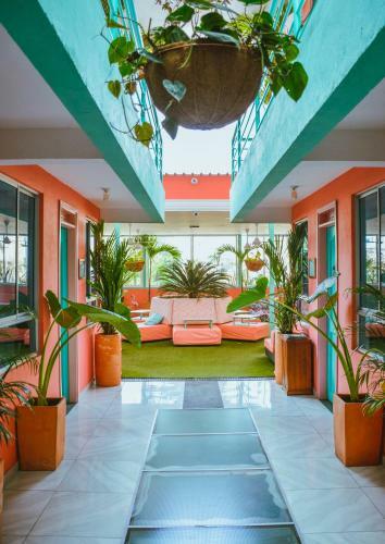 Hostal Flamingo Hostel & Coworking