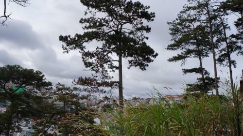 Hotel C? Homestay ?� L?t