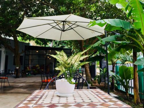 Eden House & Coffee Con Dao