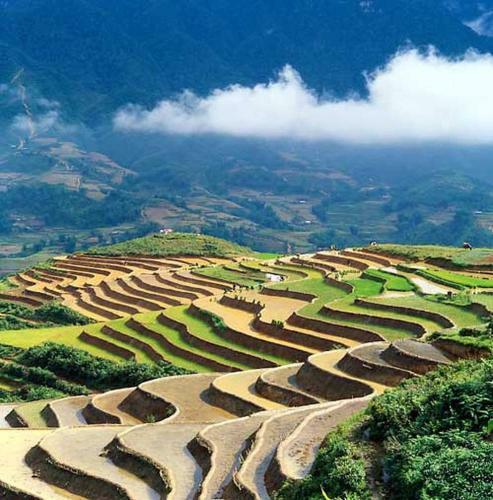 Hostal Sapa Homestay Trekking Tour For Backpackers