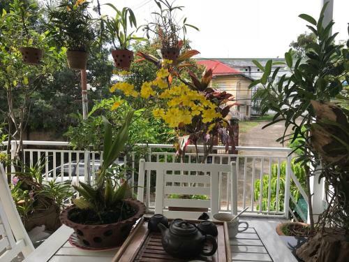 Hotel Thuy Linh Villa
