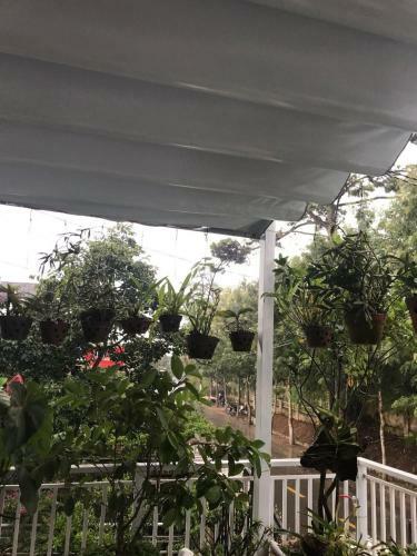 Hotel Thuy Linh Villa