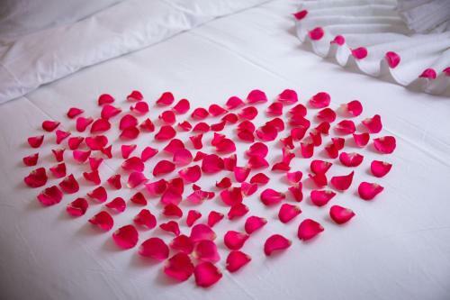 Hanoi Lullaby Hotel And Travel