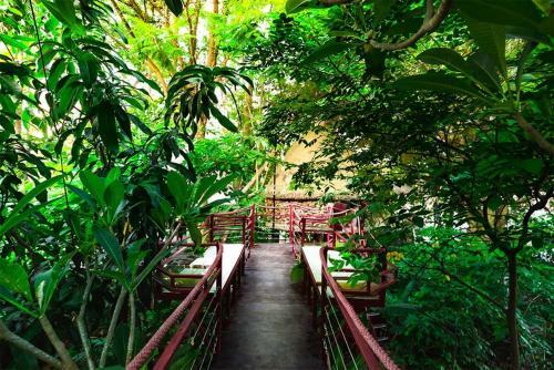 Hostal ?�o Anh Kh�nh Tree House Homestay