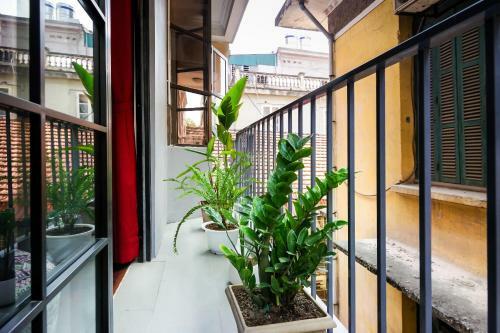 Hotel Little Anh House