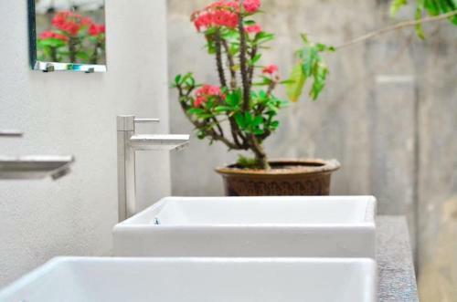 Hostal Monaco Homestay