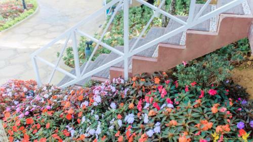 Hotel Bungalow Lam Phuong Cac Hill