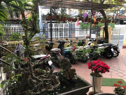 Hotel Q?homestay