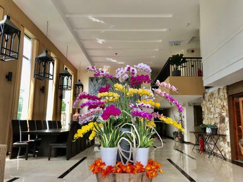 Tubong Hotel Private Enterprise