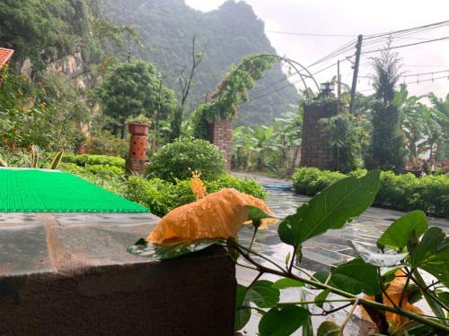 Lodge Trang An Memory Homestay
