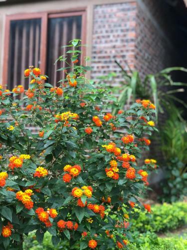 Lodge Trang An Memory Homestay