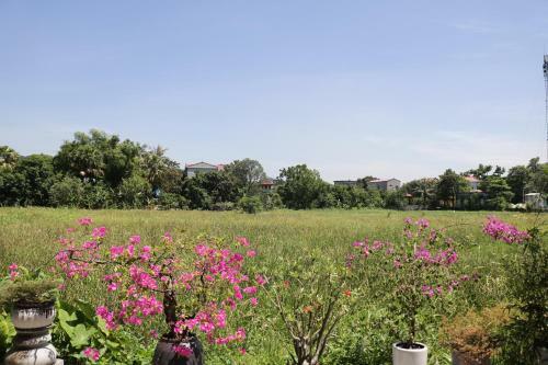 Hang Mua Homestay