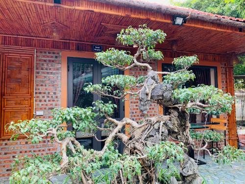 Trang An Mountainside Homestay