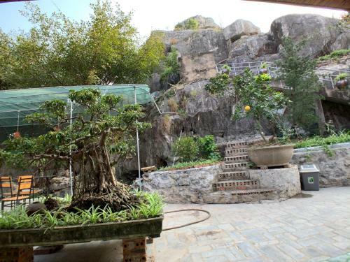 Trang An Mountainside Homestay