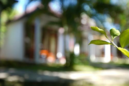 Hotel Hoa Nhat Lan Bungalow