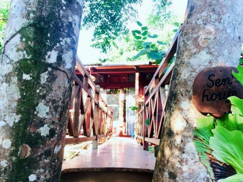 Hostal Phu Quoc Sen Lodge Bungalow Village