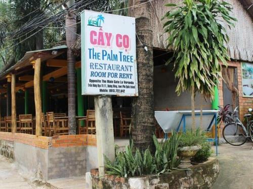 Hostal The Palm Tree Guesthouse
