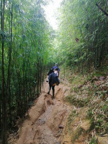 Tavan Ecogreen Homestay