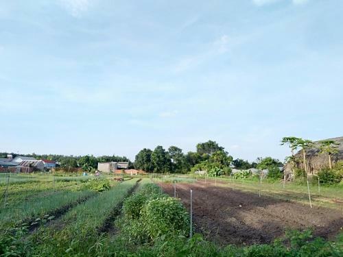 Cu Chi Boutique Farmstay