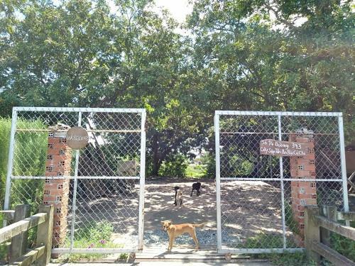 Cu Chi Boutique Farmstay