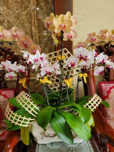 Apartamento H? T�y Hotel